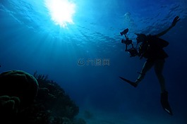 海,海洋,水