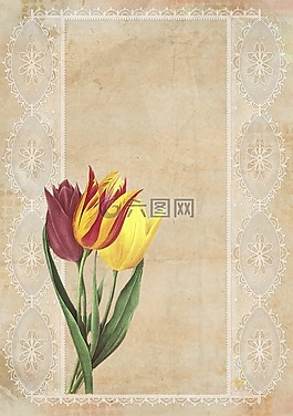 酿酒,郁金香,背景