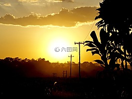 日落,側(cè)影,太陽