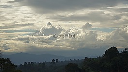性質(zhì),的,字段