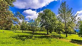 公園,休息,離