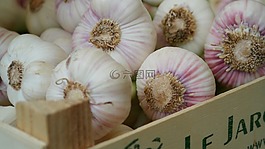 大蒜,块根,草本植物