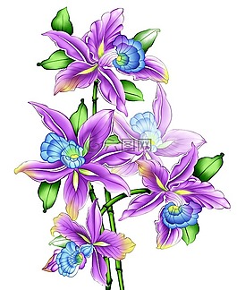 插圖,復(fù)古花,水彩花