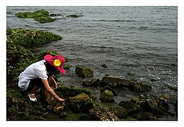 趕海,海邊,美女