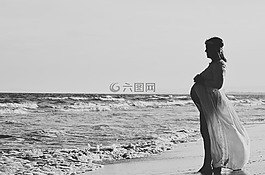 海,海洋,海灘
