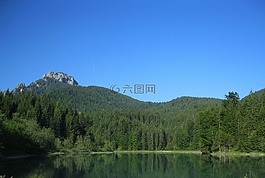 德國,山,森林