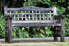 公園,長凳,綠色