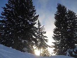 雪,冬天,日落