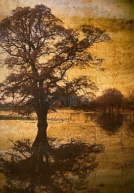 背景,樹,釀酒
