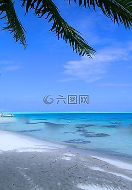 景觀,天堂,海灘
