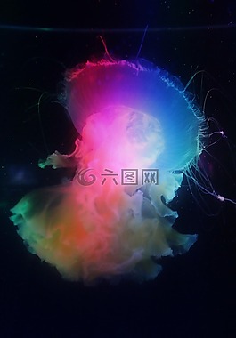 海蜇,自然,世界