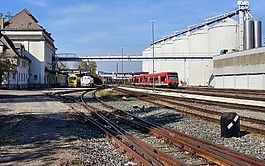 giengen,发,zirn