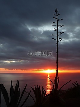 日落,abendstimmung,余輝