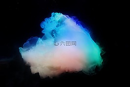 海蜇,自然,世界