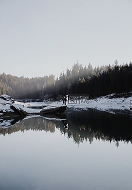自然,雪,冬天