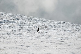 matagalls,山,雪