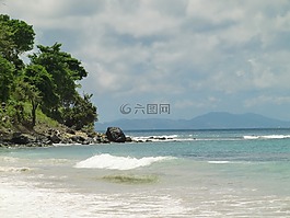 海灘,棕櫚樹,假期