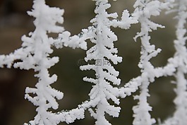 冬季,雪,積冰