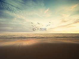 海,海洋,自然