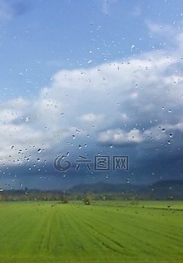 雨點,雨,原野