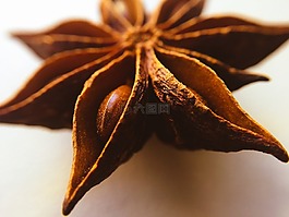 明星,八角,植物