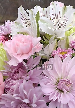 蠟筆,春,鮮花