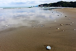 鏡像,海灘,新西蘭