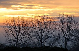 日出,早上,morgenstimmung