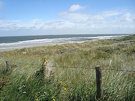 vlieland,沙丘,海