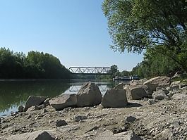 多瑙河,橋,河