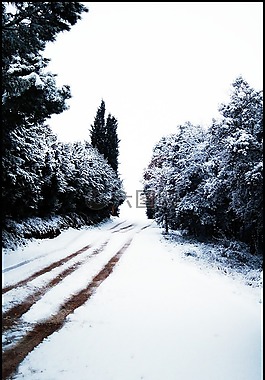 雪,內(nèi)華達州,雪路