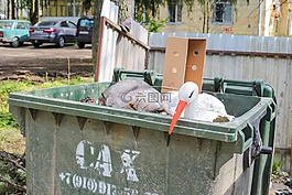 垃圾,罐,扔