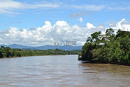 叢林,秘魯,河