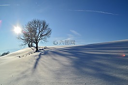 冬天,雪,阿爾高