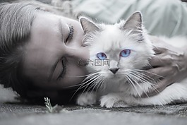 猫,女子,蓝色