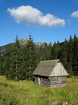 冬奥会,山,chochołowska谷