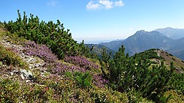 冬奧會(huì),山,景觀
