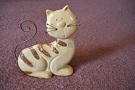 猫,胡子,尾