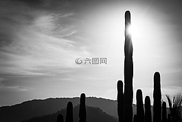 自然,景觀,云