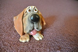 狗,微笑,動物