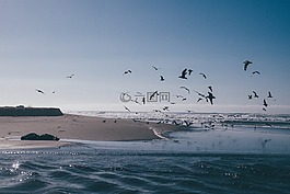 海,海洋,水