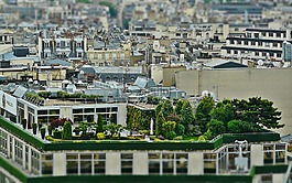 屋顶露台,屋顶花园,架构