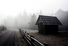自然,景觀,房子