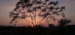 落日,夕陽,黃昏