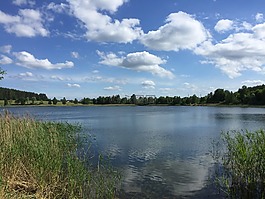 波兰,夏天,马祖