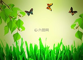 科,草,高峰