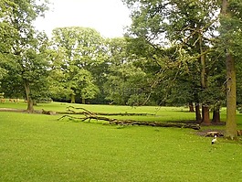 德國(guó),景觀,景區(qū)