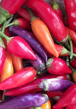 蔬菜,食品,紅色