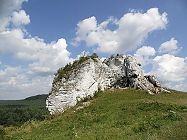山,性質(zhì),景觀