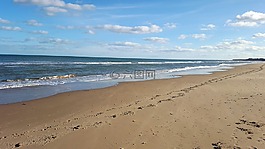 海灘,岸,海岸線